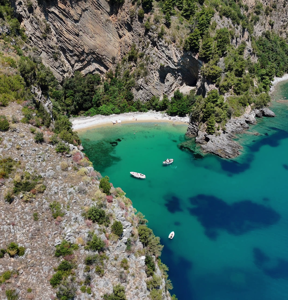 fragranze cilento